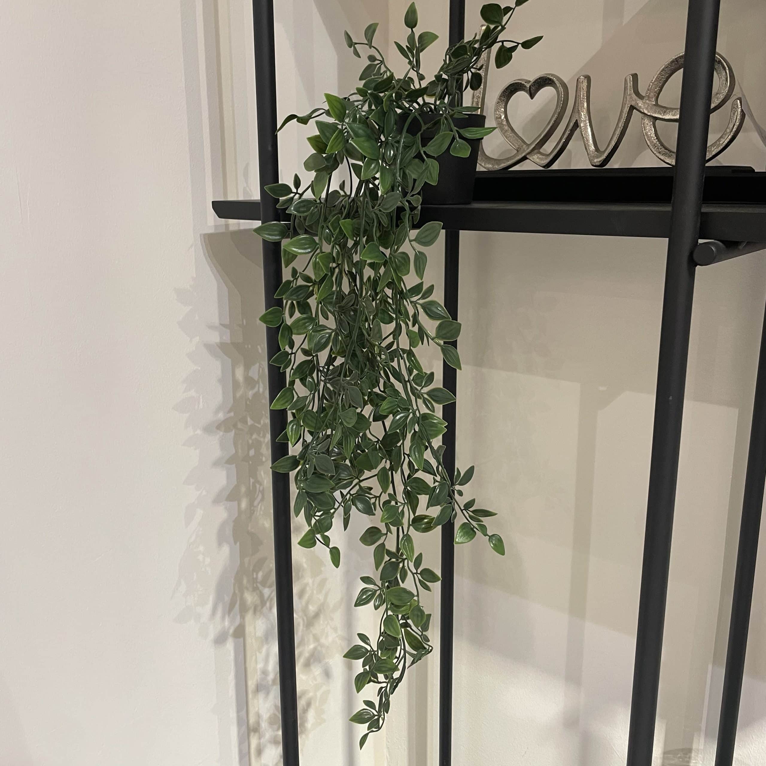 עציץ נשפך כלי שחור אורך 80 דגם איקו עציץ נשפך כלי שחור אורך 80 דגם איקו